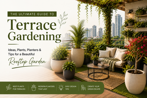 Terrace Gardens: Transform Your Rooftop into a Beautiful Green Escape