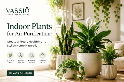 Indoor Plants for Air Purification: Create a Fresh, Healthy, and Stylish Home Naturally
