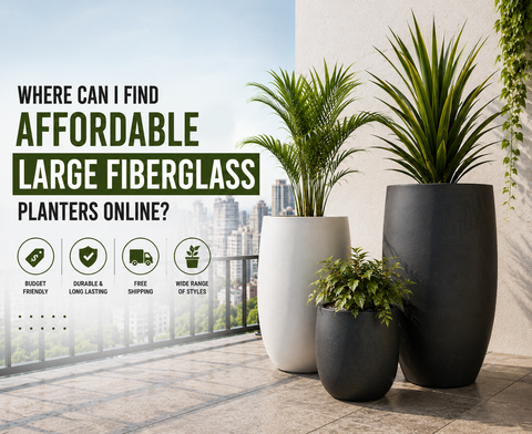 Where Can I Find Affordable Large Fiberglass Planters Online?
