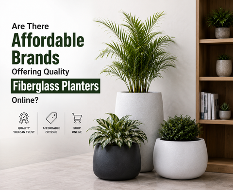 Are There Affordable Brands Offering Quality Fiberglass Planters Online?