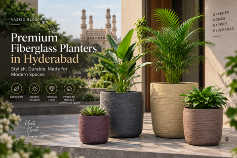 Fiberglass Planters in Hyderabad: Discover Vassio’s New Outlet
