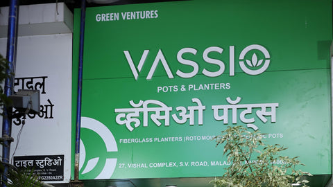 Best Fiber Planters in Mumbai: Modern Homes Need for Indoor Outdoor Décor