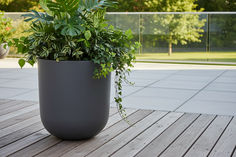 Plant Pots and Planters: Your Ultimate Guide to Choosing the Best Ones!