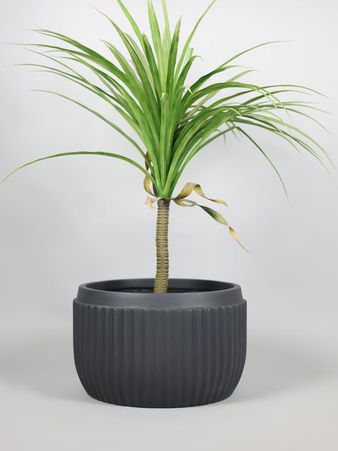 Orchid - D Fiberglass Round Planter - Grey🌿