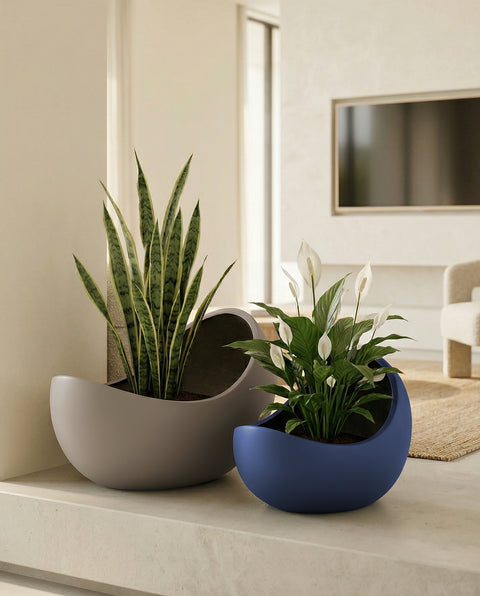 Eggo Fiberglass Planters🌿