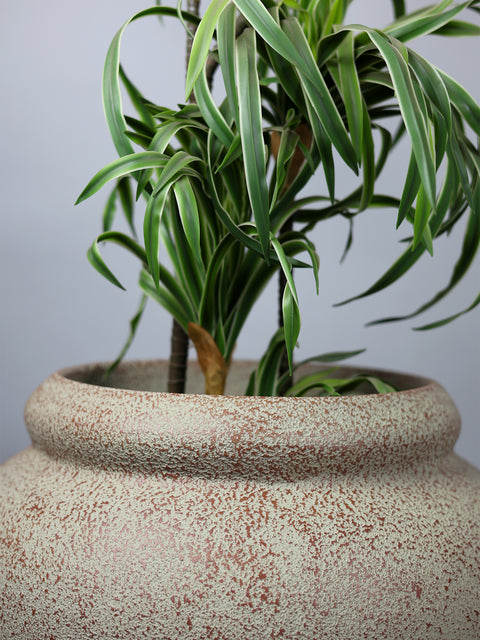 Broom Traditional Fiberglass Planter - Terra 🌿