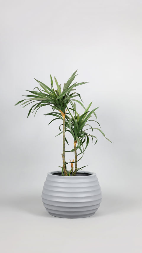 Ring Fiberglass Planter - Matt 🌿