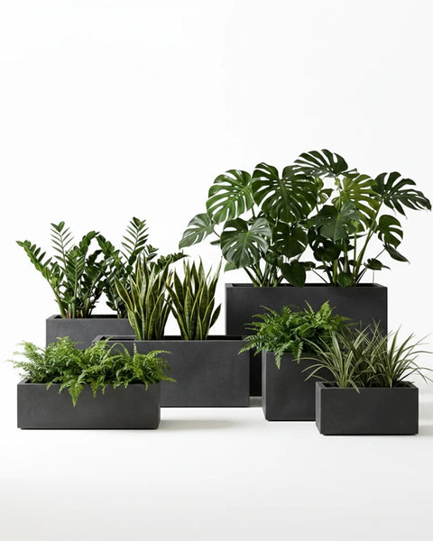 Ractangle Fiberglass Planter - Rustic