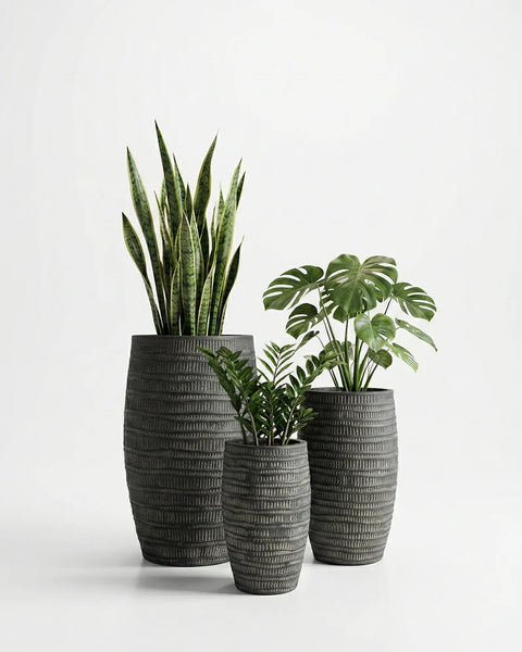 Areca Fiberglass Planters🌿