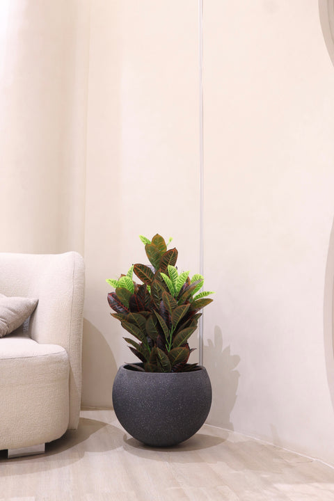 Artificial Multicolor Croton Plant