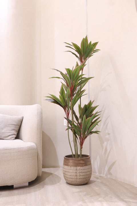 Artificial Cordyline Plant