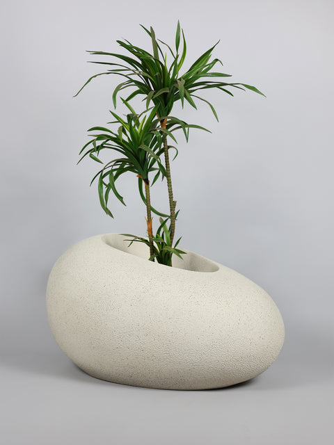 Patato - D Fiberglass Planter - Oyster White🌿