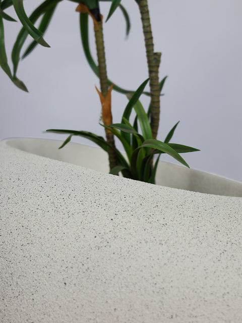 Patato - D Fiberglass Planter - Oyster White🌿