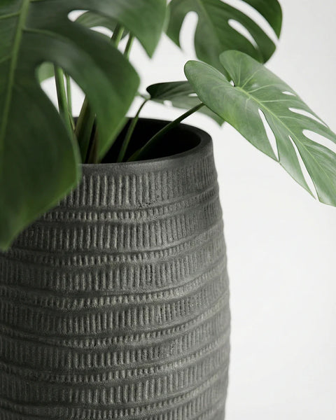 Areca Fiberglass Planters🌿