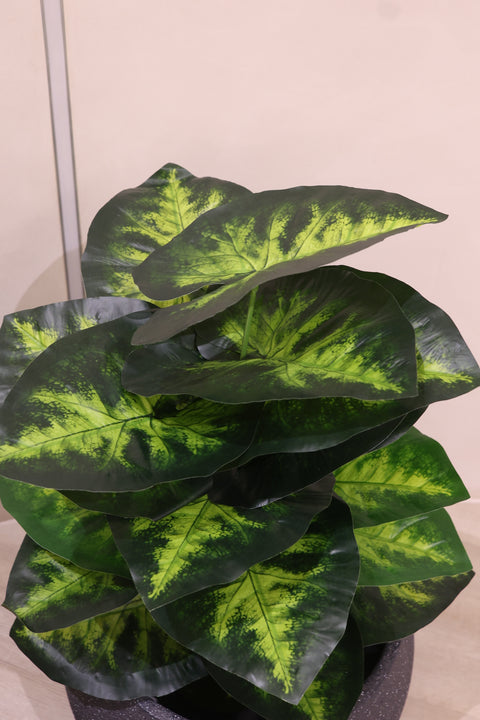 Variegated Green Artificial Plant