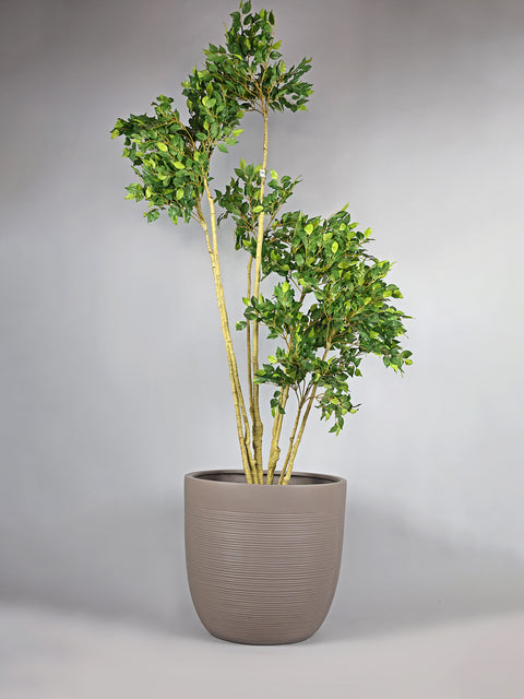 Pota Fiberglass Planter - Grey Beige 🌿
