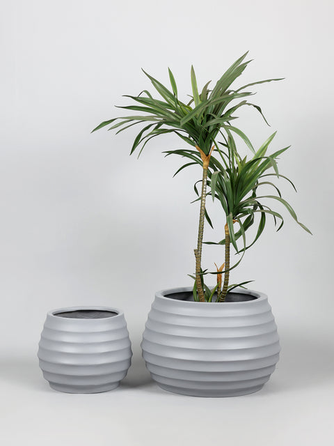 Ring Fiberglass Planter - Matt 🌿