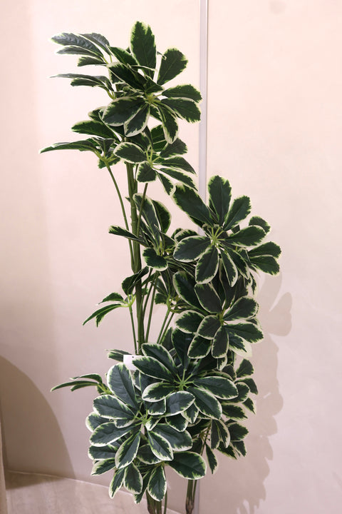 Artificial Variegated Schefflera Plant