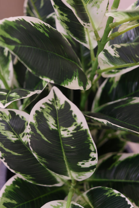 Artificial Variegated Croton Plant