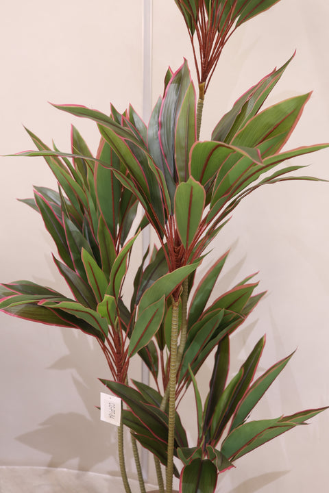 Artificial Cordyline Plant
