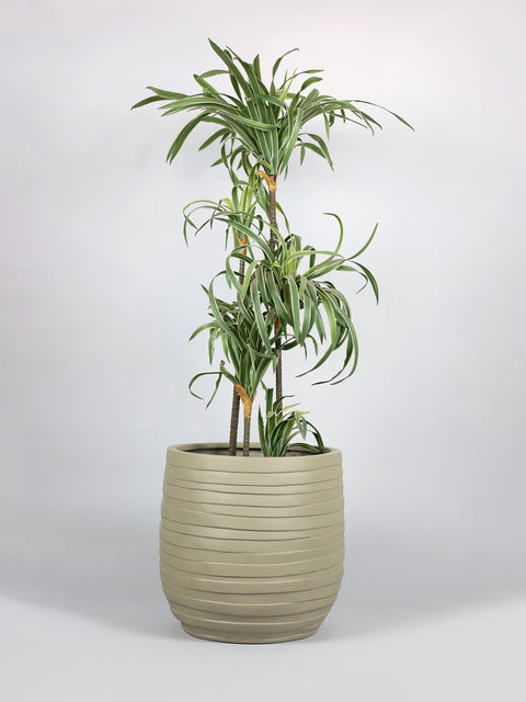 Cone Fiberglass Planter - Matt 🌿