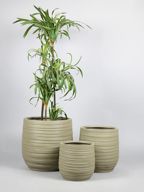 Cone Fiberglass Planter - Matt 🌿