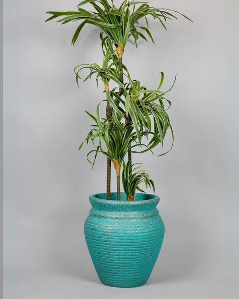 Basil Traditional Fiberglass Planter - Patina 🌿