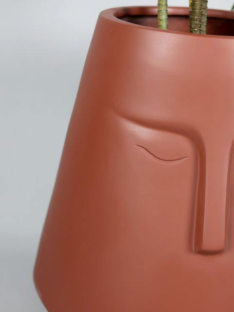 E.Pot-A Fiberglass Planter - Terracotta 🌿