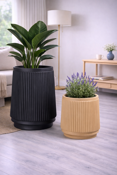 King Fiberglass Planters🌿