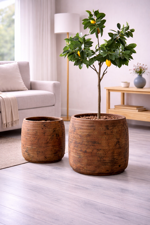 Julia Fiberglass Planters 🌿