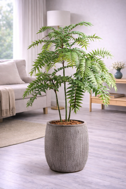 Norway Fiberglass Planters🌿