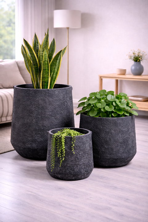 Pothos Fiberglass Planters🌿