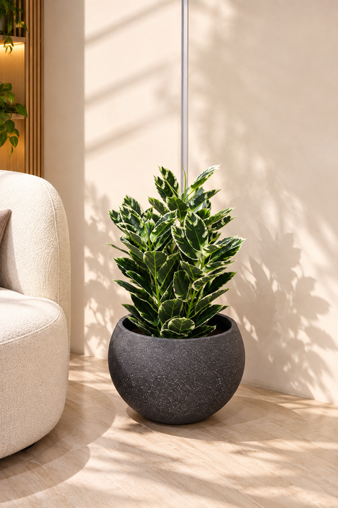 Artificial Variegated Croton Plant