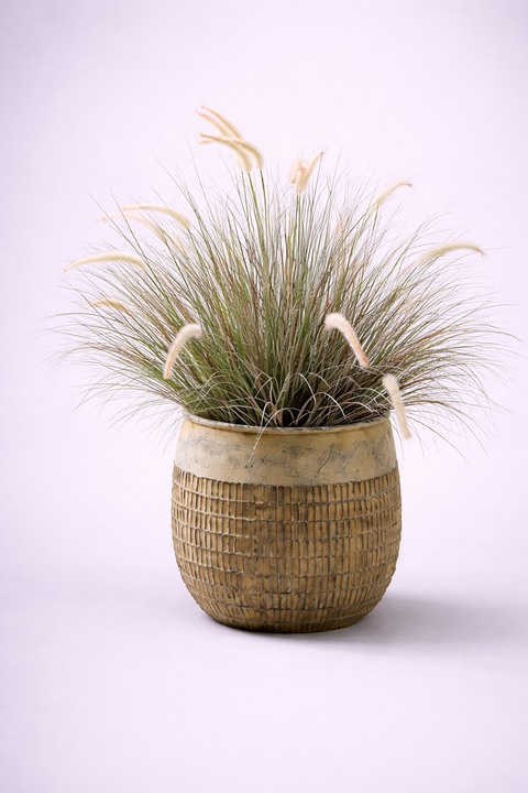 Pineapple Fiberglass Planters🌿