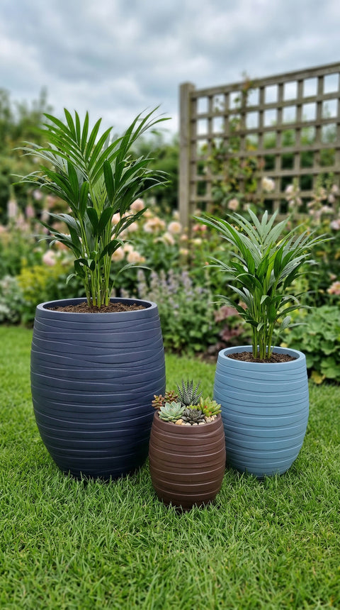 Royal Fiberglass Planters🌿