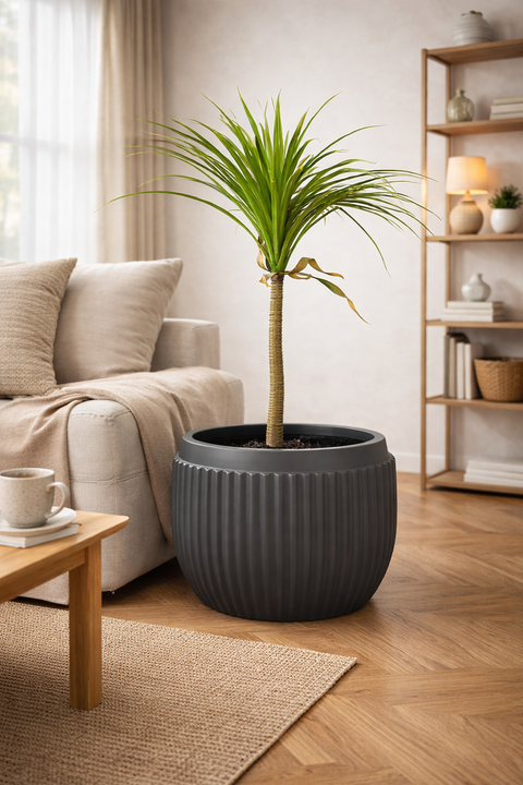 Orchid - D Fiberglass Round Planter - Grey🌿