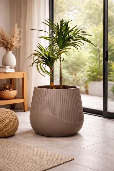 Juniper Fiberglass Planter - Matt 🌿