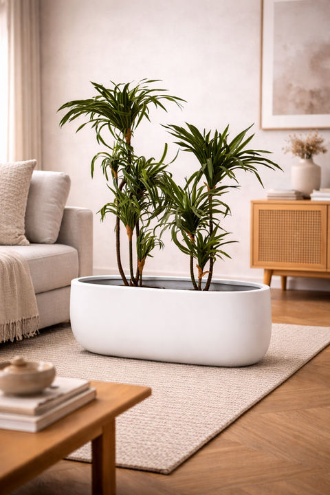 Boat Fiberglass Planter - White 🌿