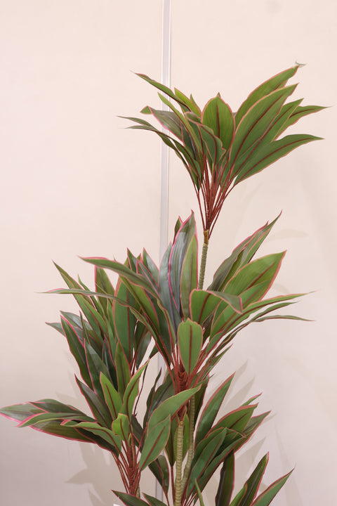 Artificial Cordyline Plant