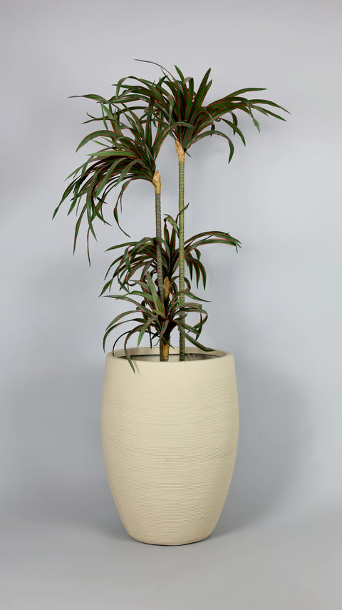 Voilet Fiberglass Planter - Beige 🌿