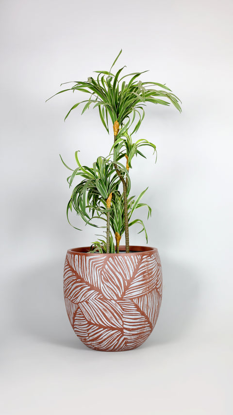Leaf Fiberglass Planter - Terracotta 🌿