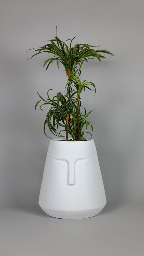 E-Pot - A Fiberglass Planter - White 🌿