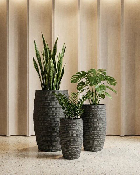 Areca Fiberglass Planters🌿
