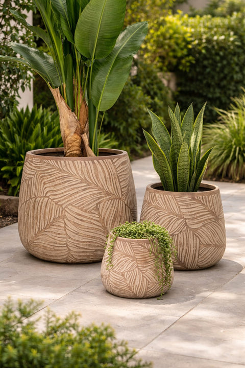 Peach Fiberglass Planters🌿