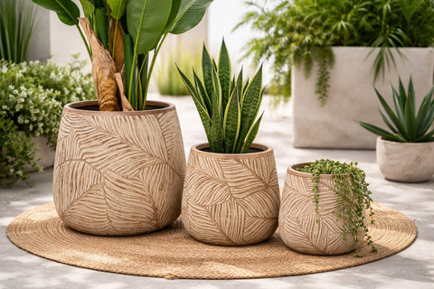 Peach Fiberglass Planters🌿