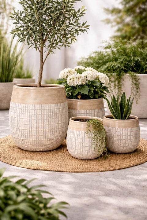 Pineapple Fiberglass Planters🌿