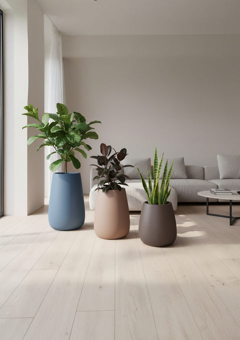 Aster Fiberglass Planters🌿