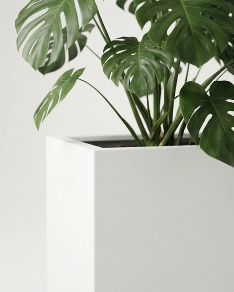 Ractangle Fiberglass Planter - Rustic