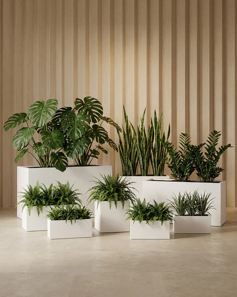 Ractangle Fiberglass Planter - Rustic