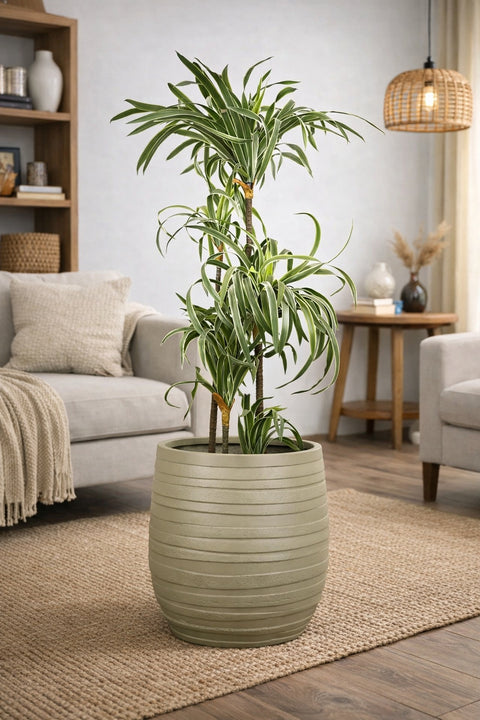 Cone Fiberglass Planter - Matt 🌿